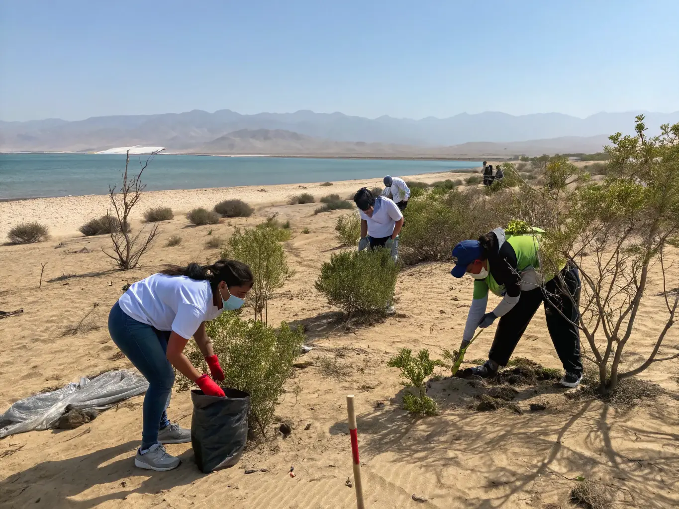 A scenic view of the coastline with conservationists inspecting the shoreline, highlighting active monitoring and protection efforts.